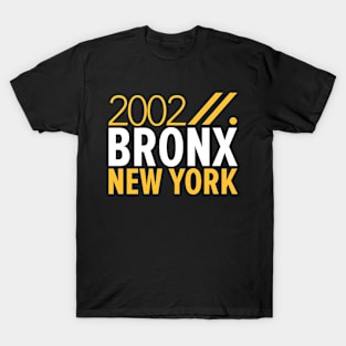 Bronx NY Birth Year Collection - Represent Your Roots 2002 in Style T-Shirt